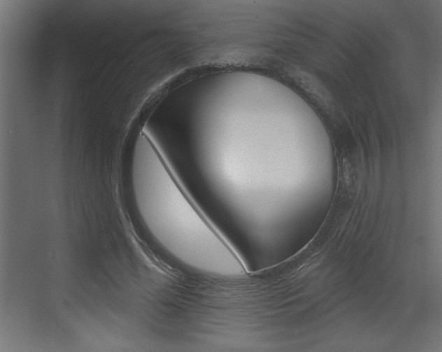 X0000073520588200607310952
