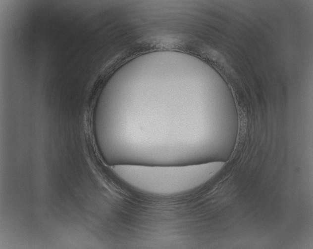 X0000073520591200607310952