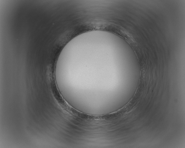 X0000073520594200607310952