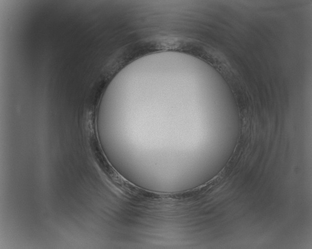 X0000073520598200607310952