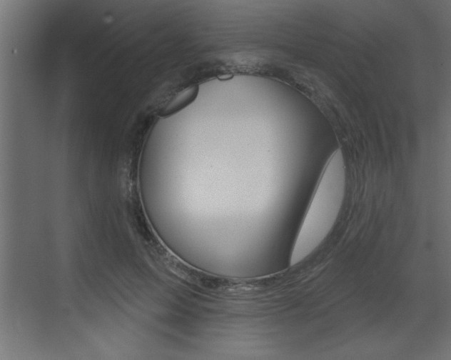 X0000073520599200607310951