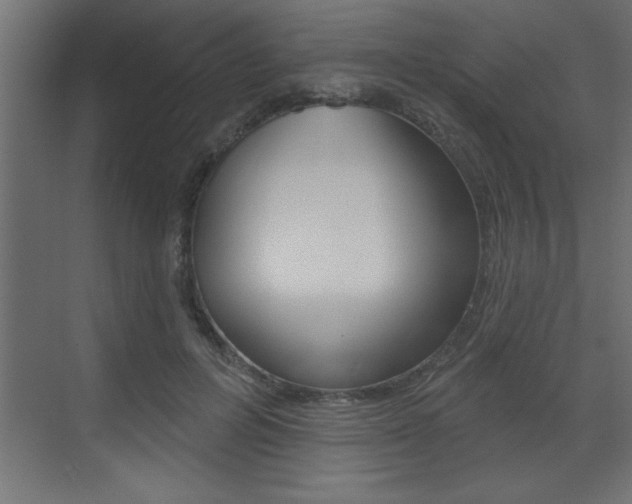 X0000073520600200607310951