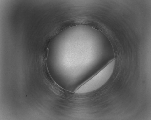 X0000073520601200607310951