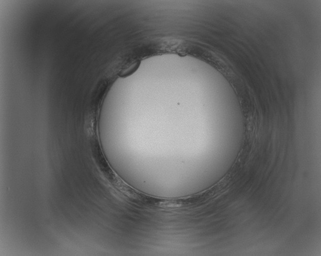 X0000073520602200607310951