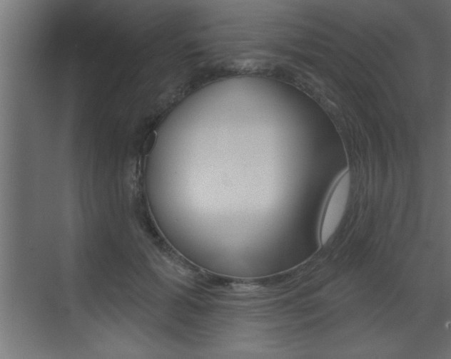 X0000073520605200607310951