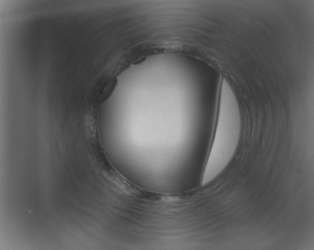 X0000073520609200607310951