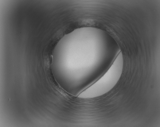 X0000073520617200607310951