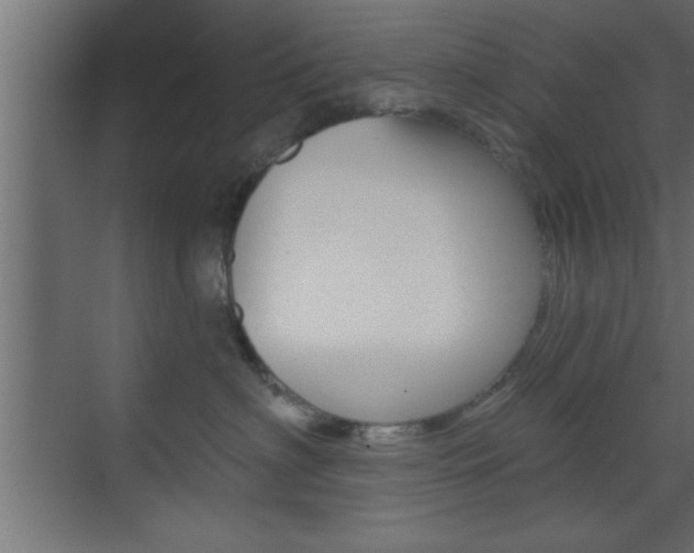 X0000073520622200607310951