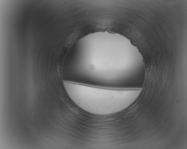 X0000073520623200607310951