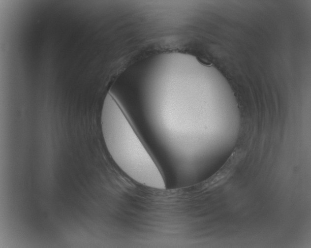 X0000073520624200607310951