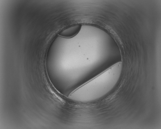 X0000073520625200607310950