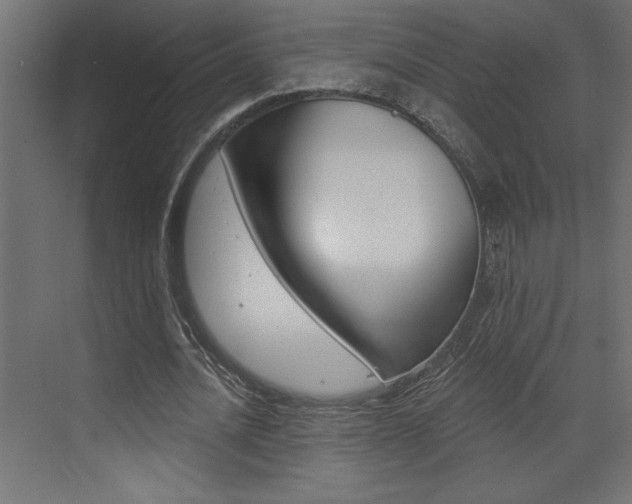 X0000073520628200607310950