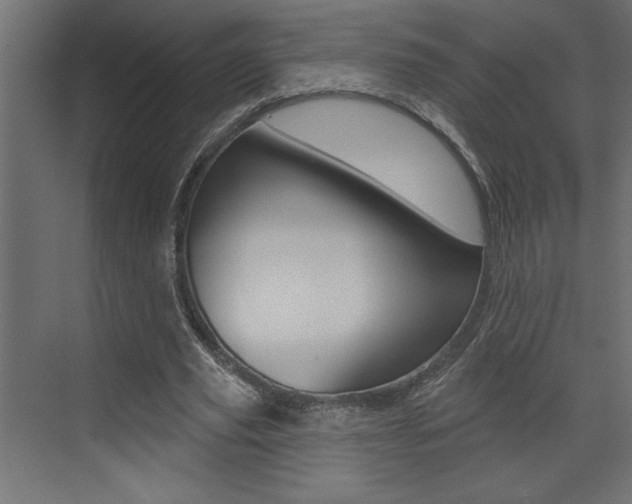 X0000073520629200607310950