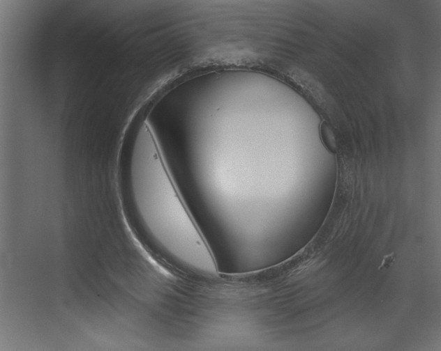 X0000073520630200607310950