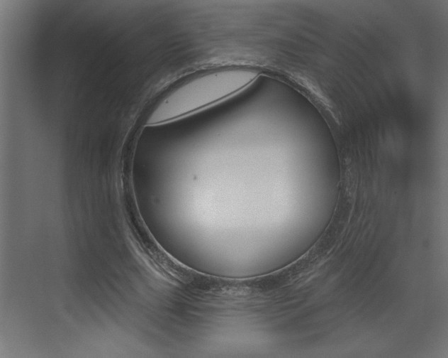 X0000073520631200607310950