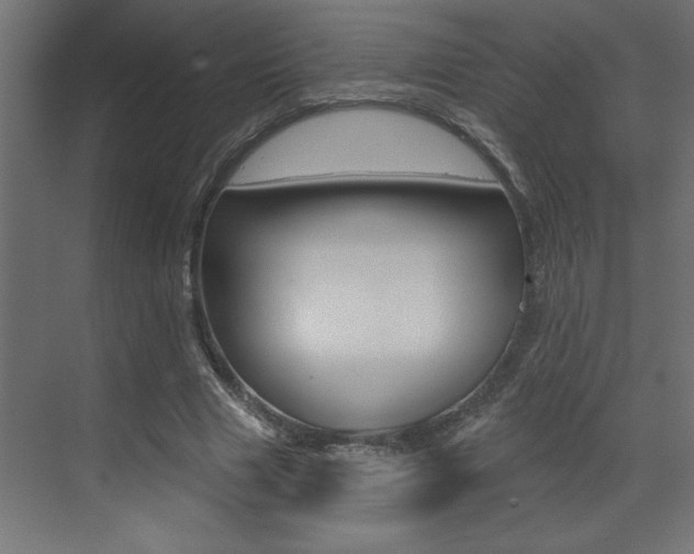 X0000073520633200607310950