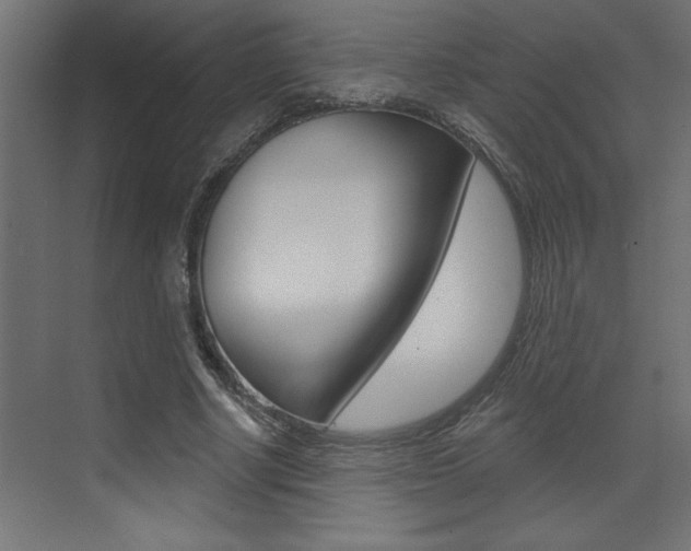 X0000073520634200607310950