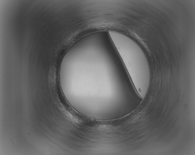X0000073520637200607310950