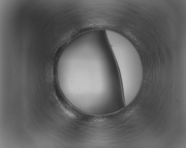 X0000073520638200607310950