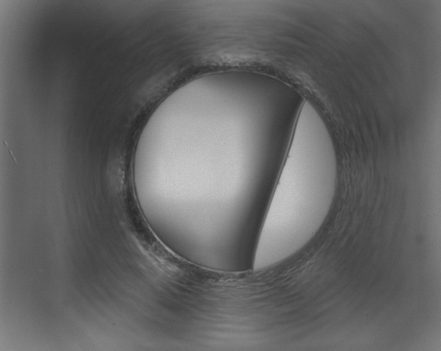 X0000073520640200607310951