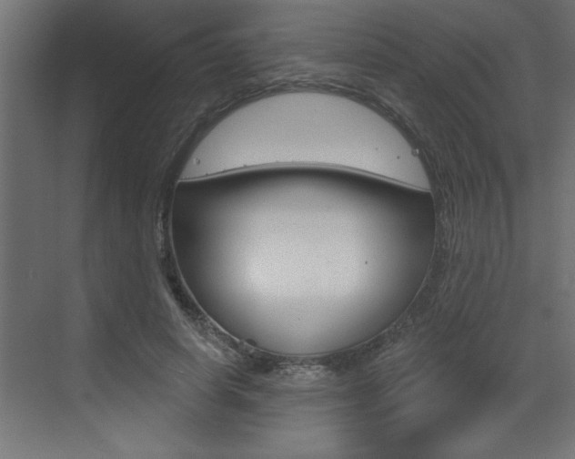 X0000073520642200607310951