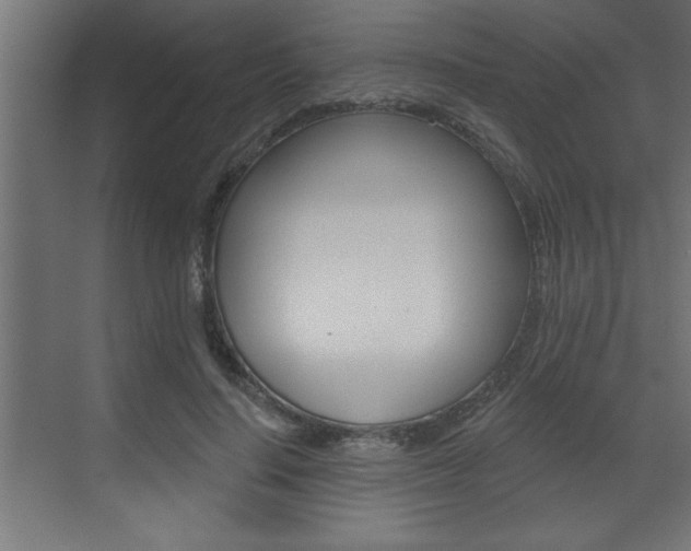X0000073520644200607310951