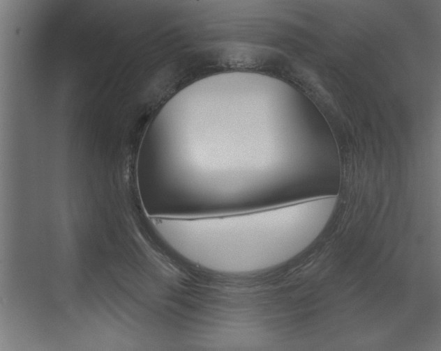 X0000073520645200607310951