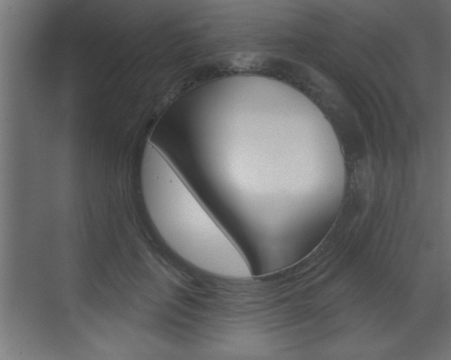 X0000073520651200607310951