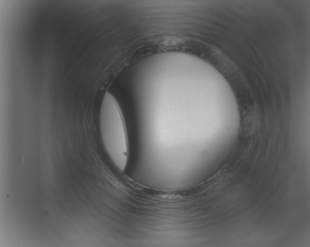 X0000073520654200607310951