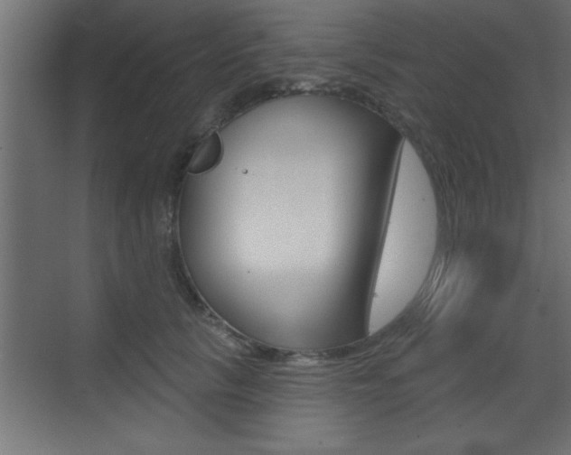 X0000073520657200607310951