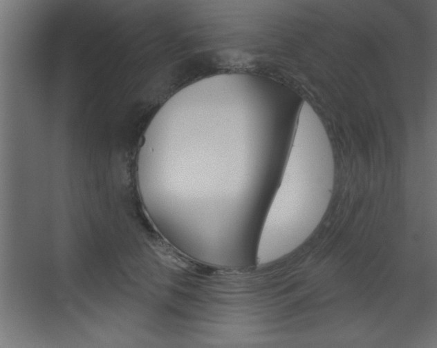 X0000073520658200607310951