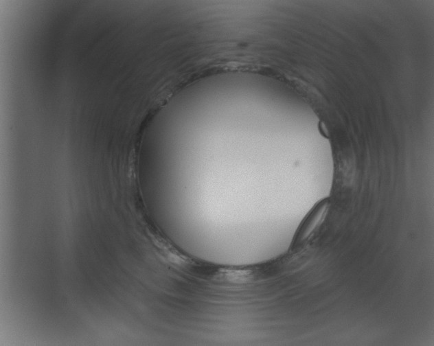 X0000073520665200607310951