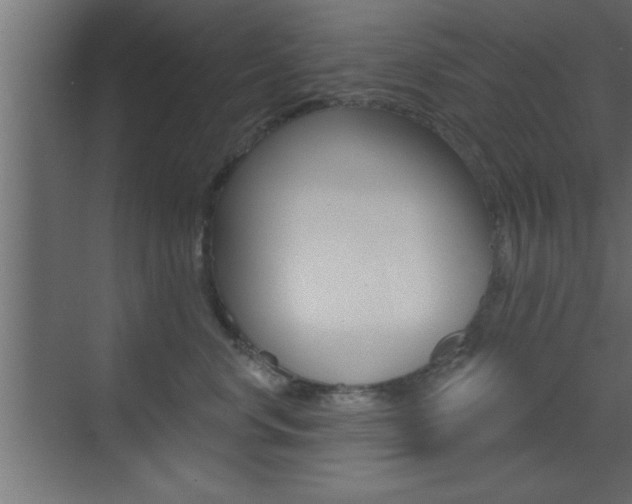 X0000073520668200607310951