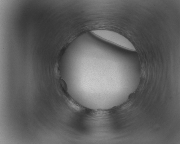X0000073520670200607310951