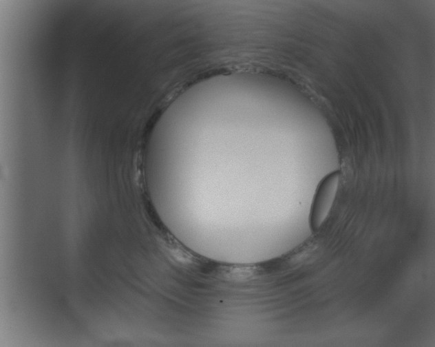 X0000073520671200607310951