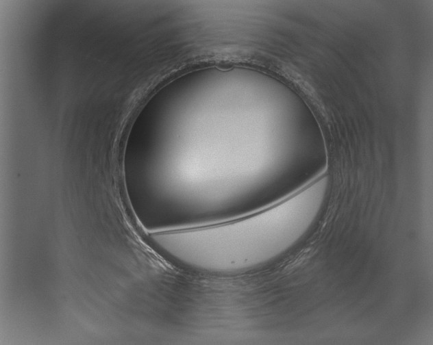X0000073520673200607310950