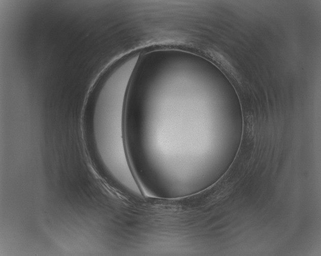X0000073520676200607310950