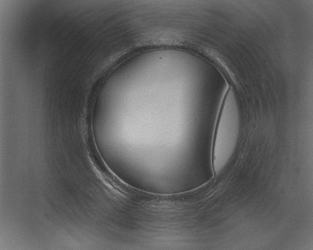 X0000073520677200607310950