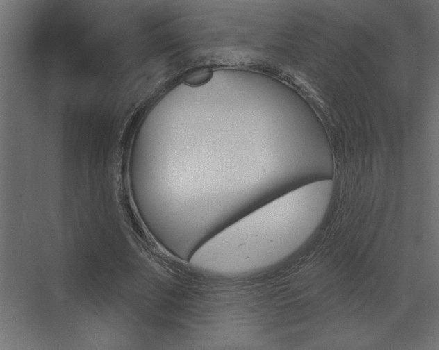 X0000073520679200607310950