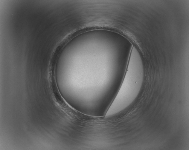 X0000073520680200607310950