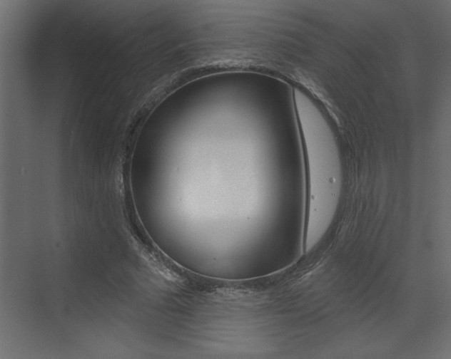 X0000073520681200607310950