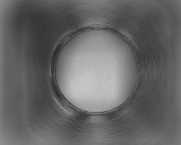 X0000073520686200607310950