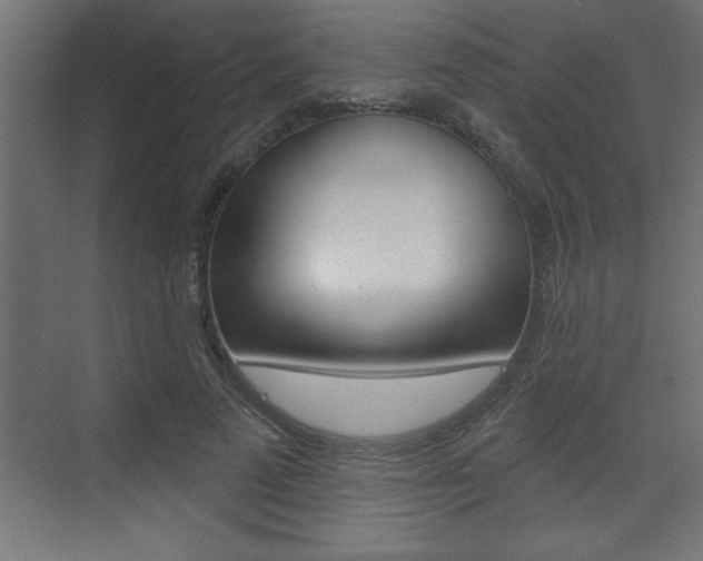 X0000073520689200607310950