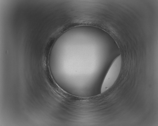 X0000073520692200607310950