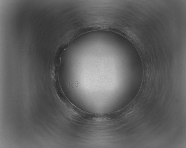 X0000073520693200607310950
