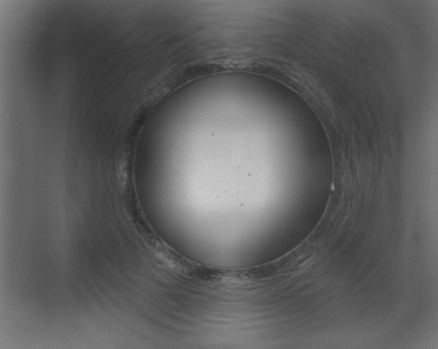 X0000073520697200607310950