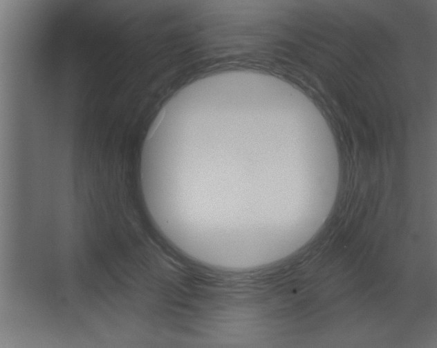 X0000073520701200607310950