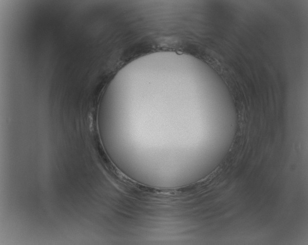 X0000073520703200607310950