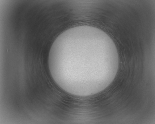 X0000073520705200607310950