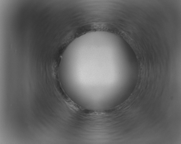 X0000073520712200607310950